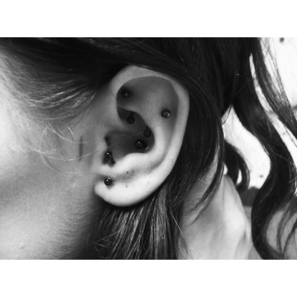 Conch & Anti-Tragus Close Up