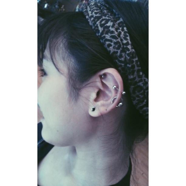 Custom Work: Double Cartilage Piercing w/BCR.