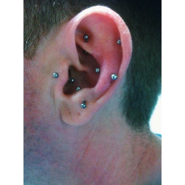 Collection of Piercings, various from me being  Anti-Tragus, Snug & Top-Ear...