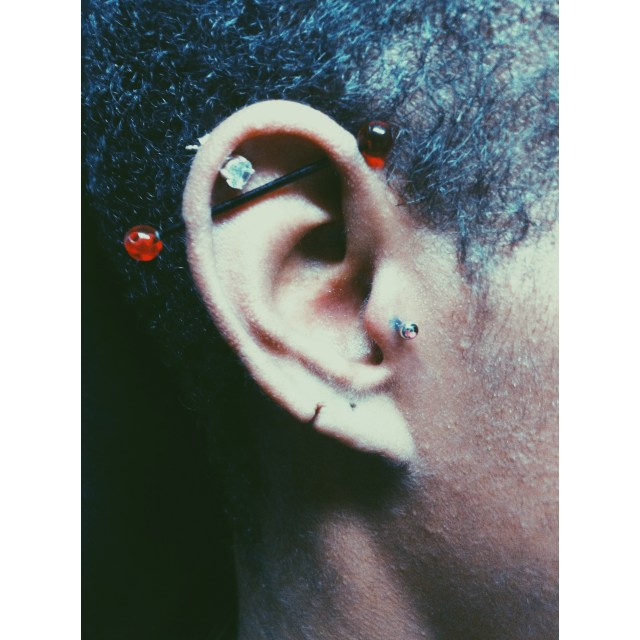 Scaffold & Tragus Piercings