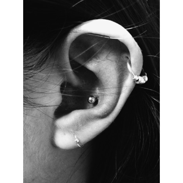 Conch Piercing