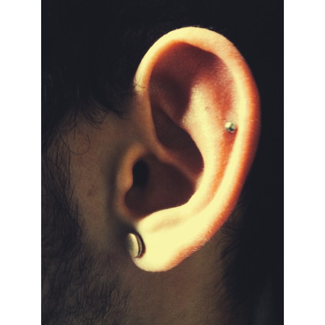 Mid Ear Cartilage Piercing