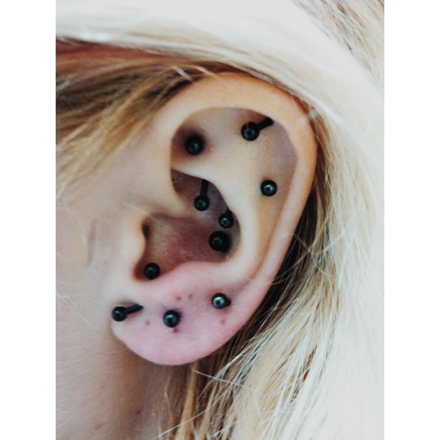 Kelly's collection on her left ear...