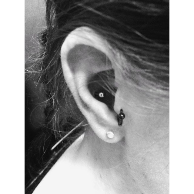 Conch Piercing