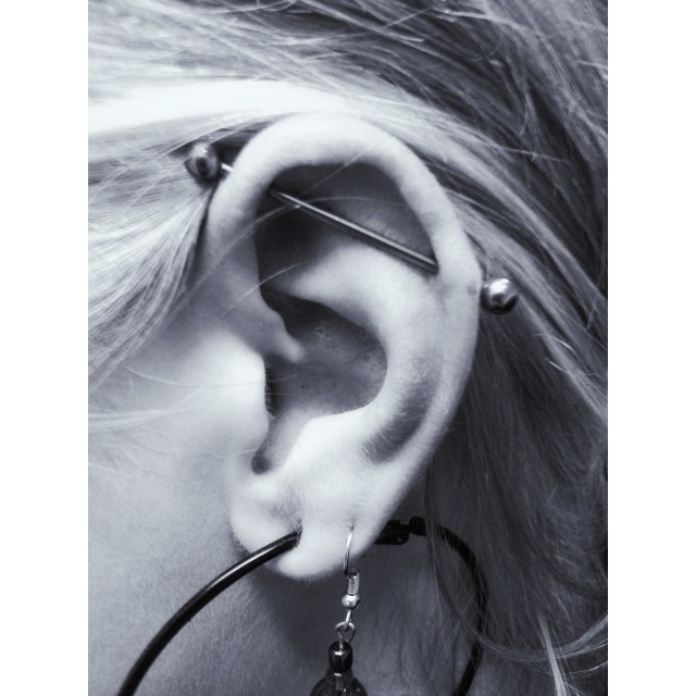 Laura's Scaffold Piercing