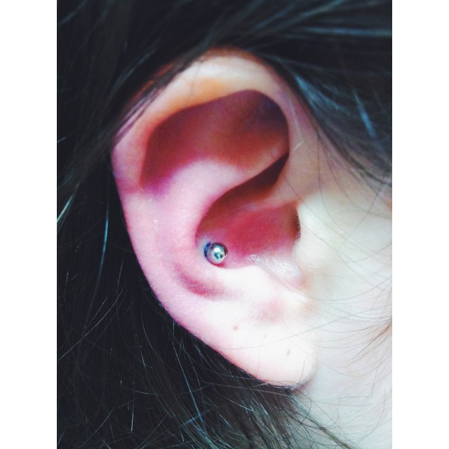Rose's Conch Pierced