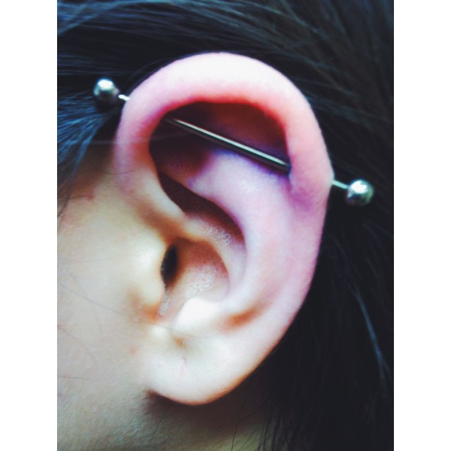 Nomin's Scaffold Take II