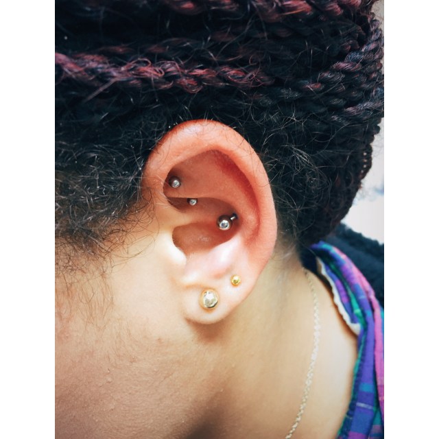 Rook & Conch II