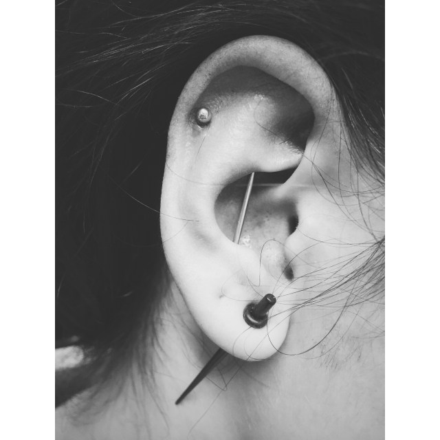 Layla's Vertical Scaffold Piercing II also known as a Suicide Industrial Piercing