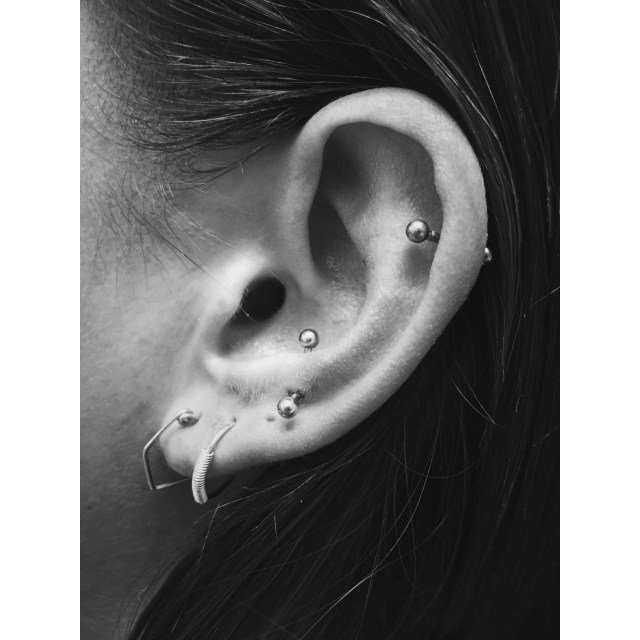 Anti-Tragus II