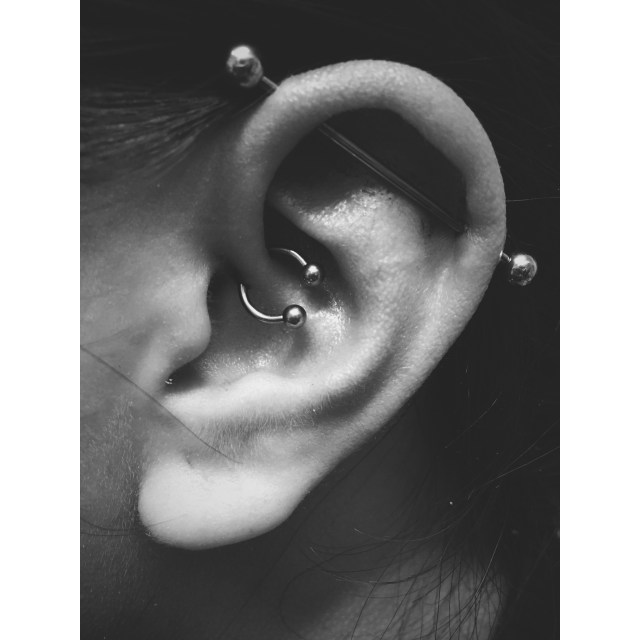 Daith & Scaffold I