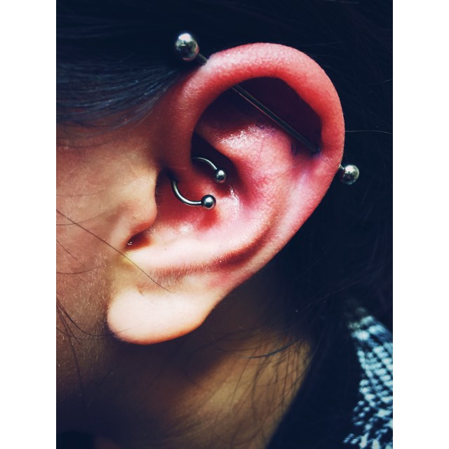 Ann's Daith & Scaffold Piercings