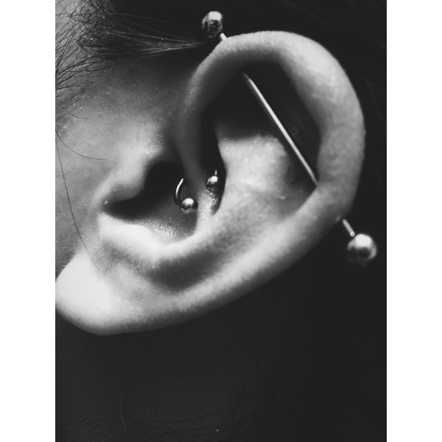 Daith & Scaffold III