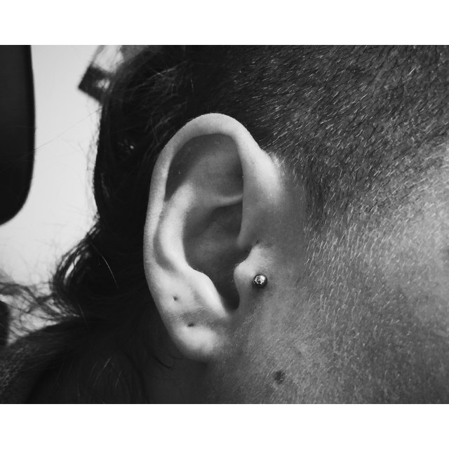 Tragus III
