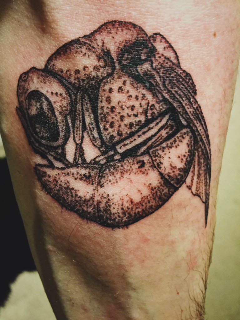 Processed with VSCO with 4 preset